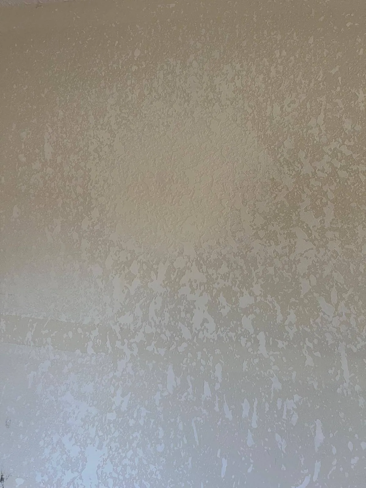Gallery image 61