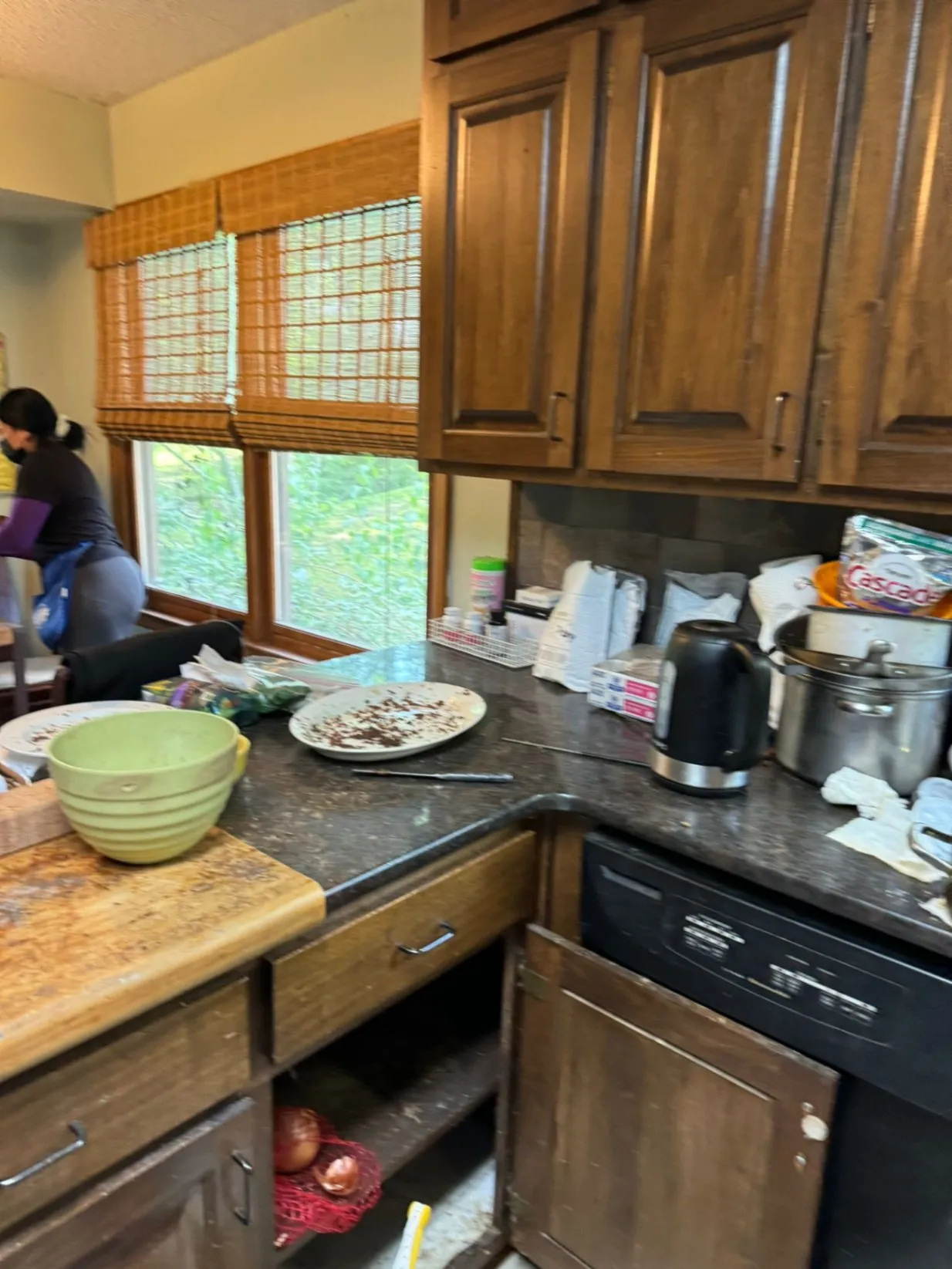Gallery image 110