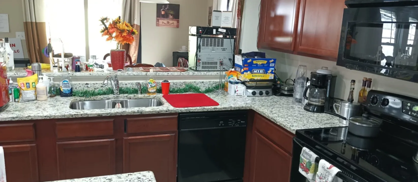 Gallery image 66
