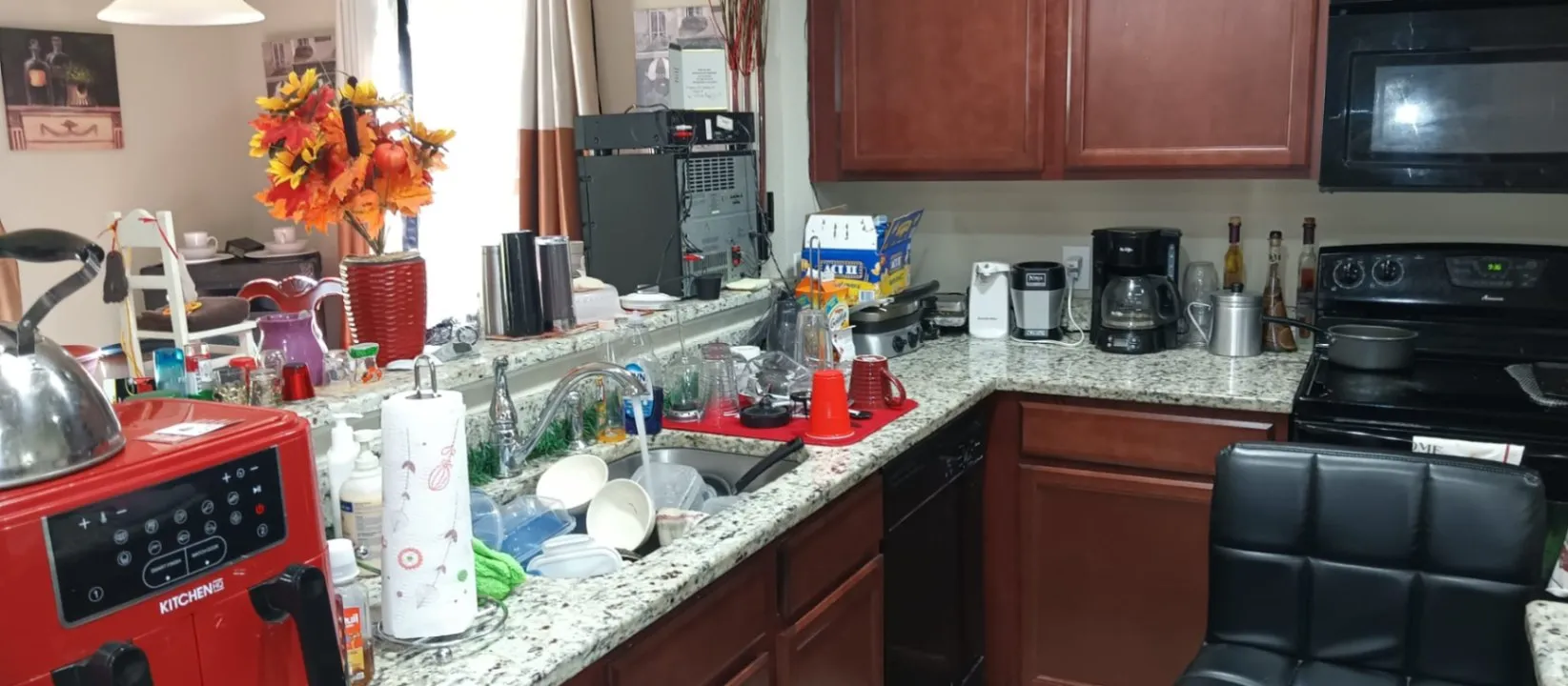 Gallery image 67