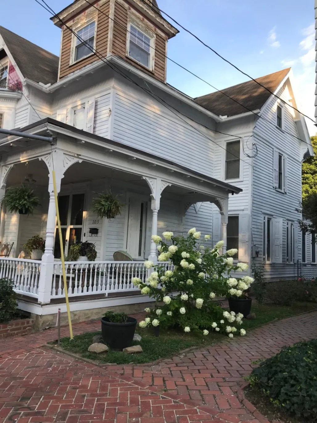 Gallery image 14