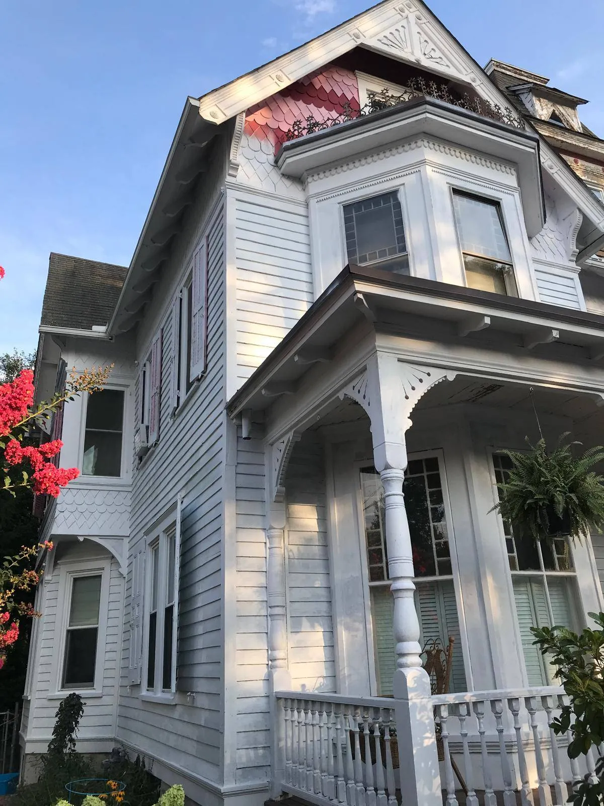 Gallery image 16