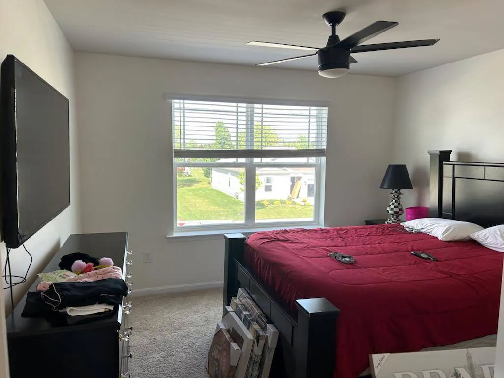 Gallery image 69