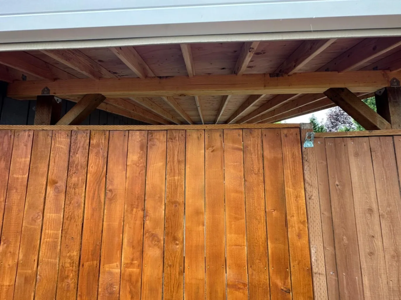 Gallery image 8