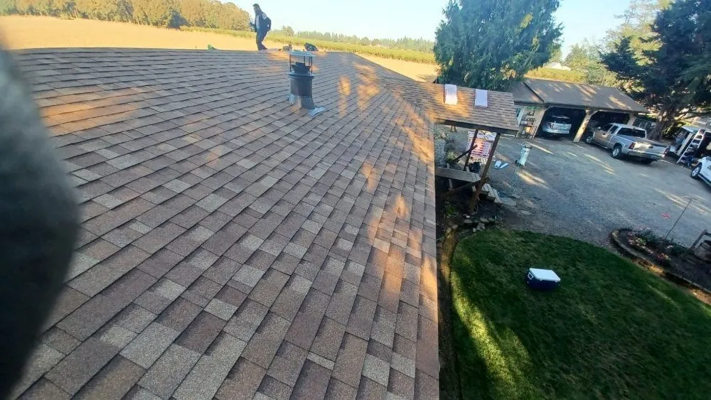 Gallery image 6