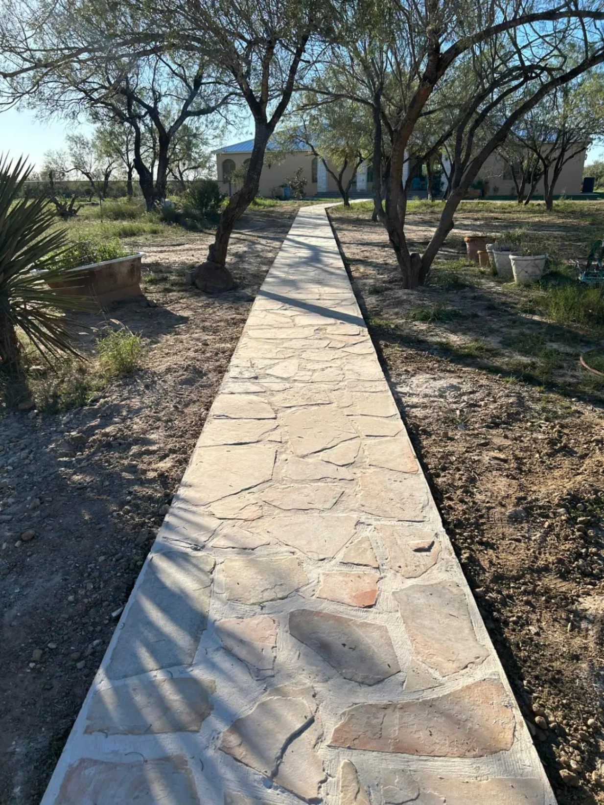 Gallery image 19