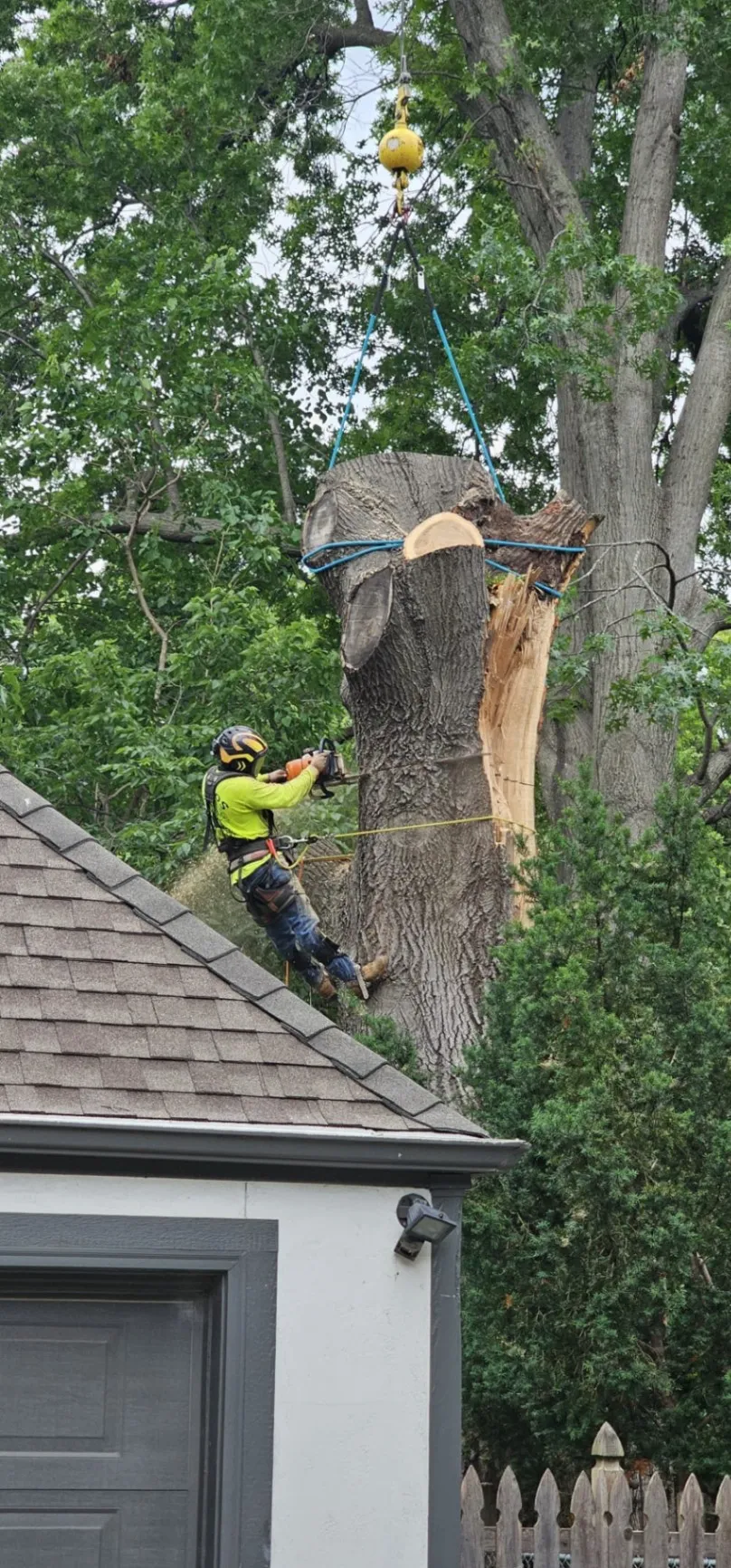 Ramos Tree Care LLC 2