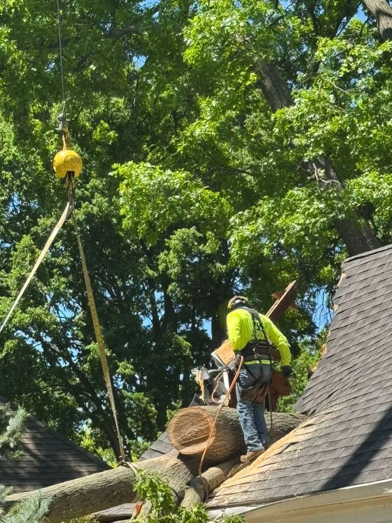 Exceptional Tree Care, Unmatched Results - banner