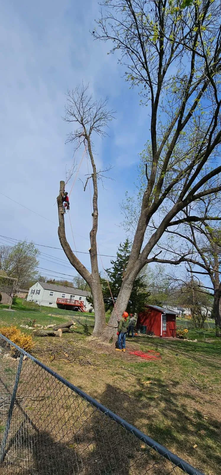 Exceptional Tree Care, Unmatched Results - avatar