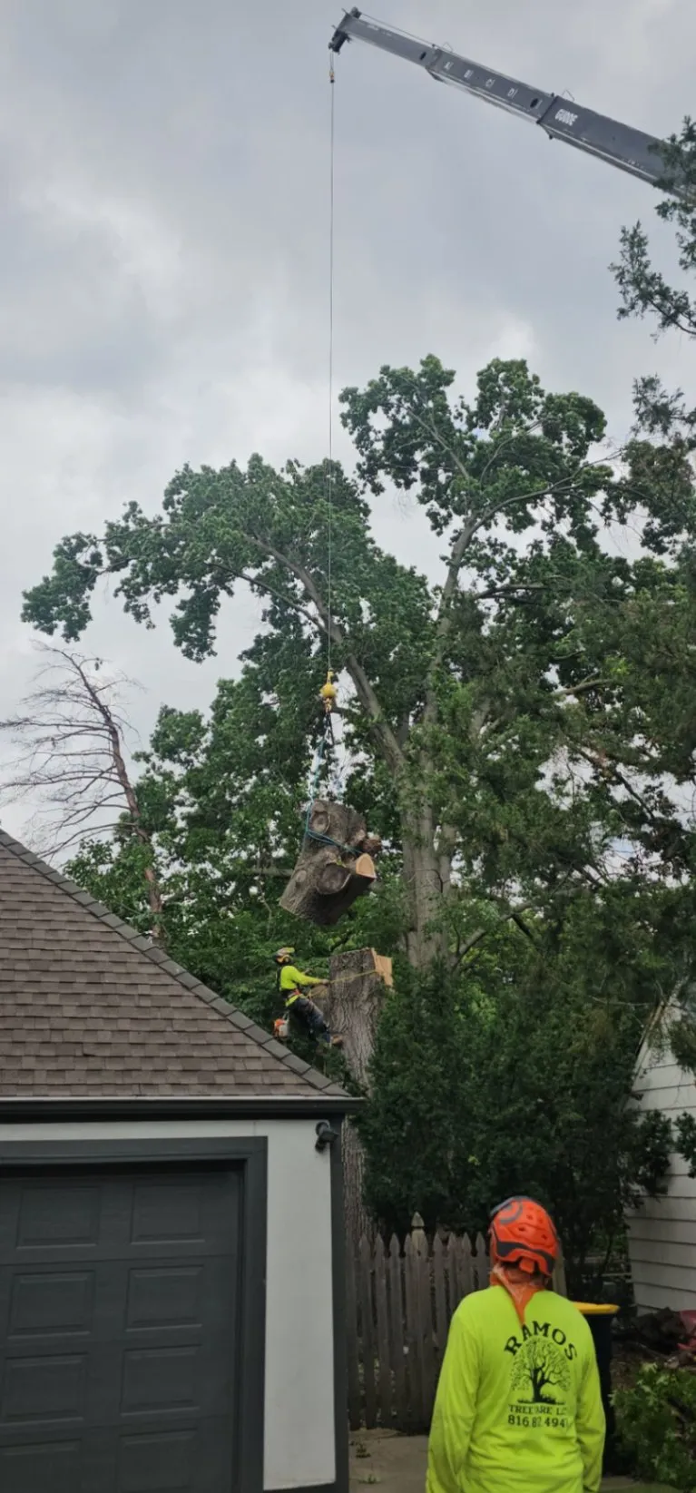 Ramos Tree Care LLC 3
