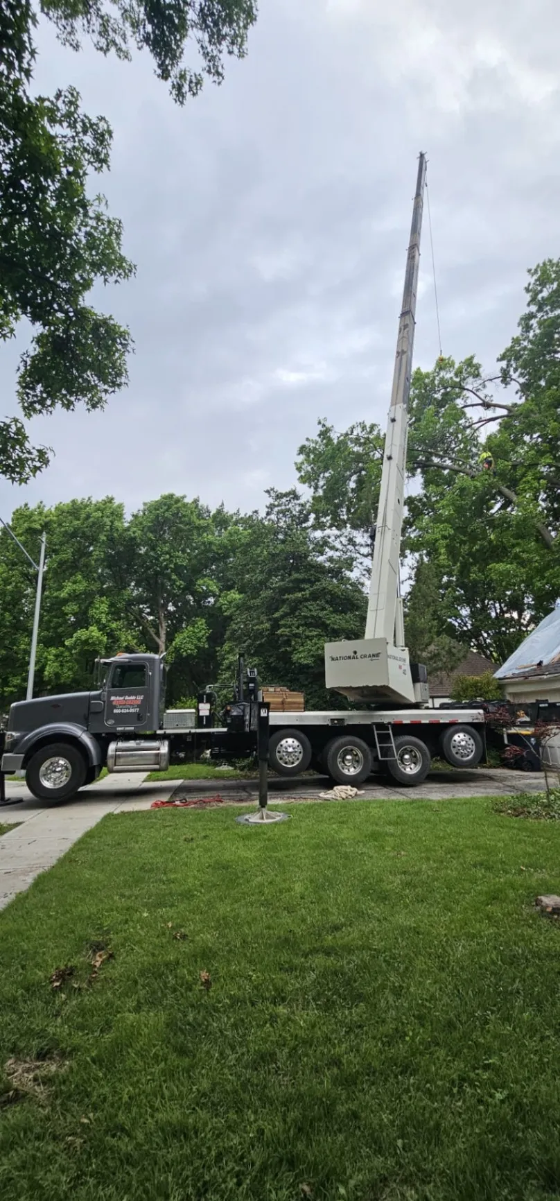 Ramos Tree Care LLC 1