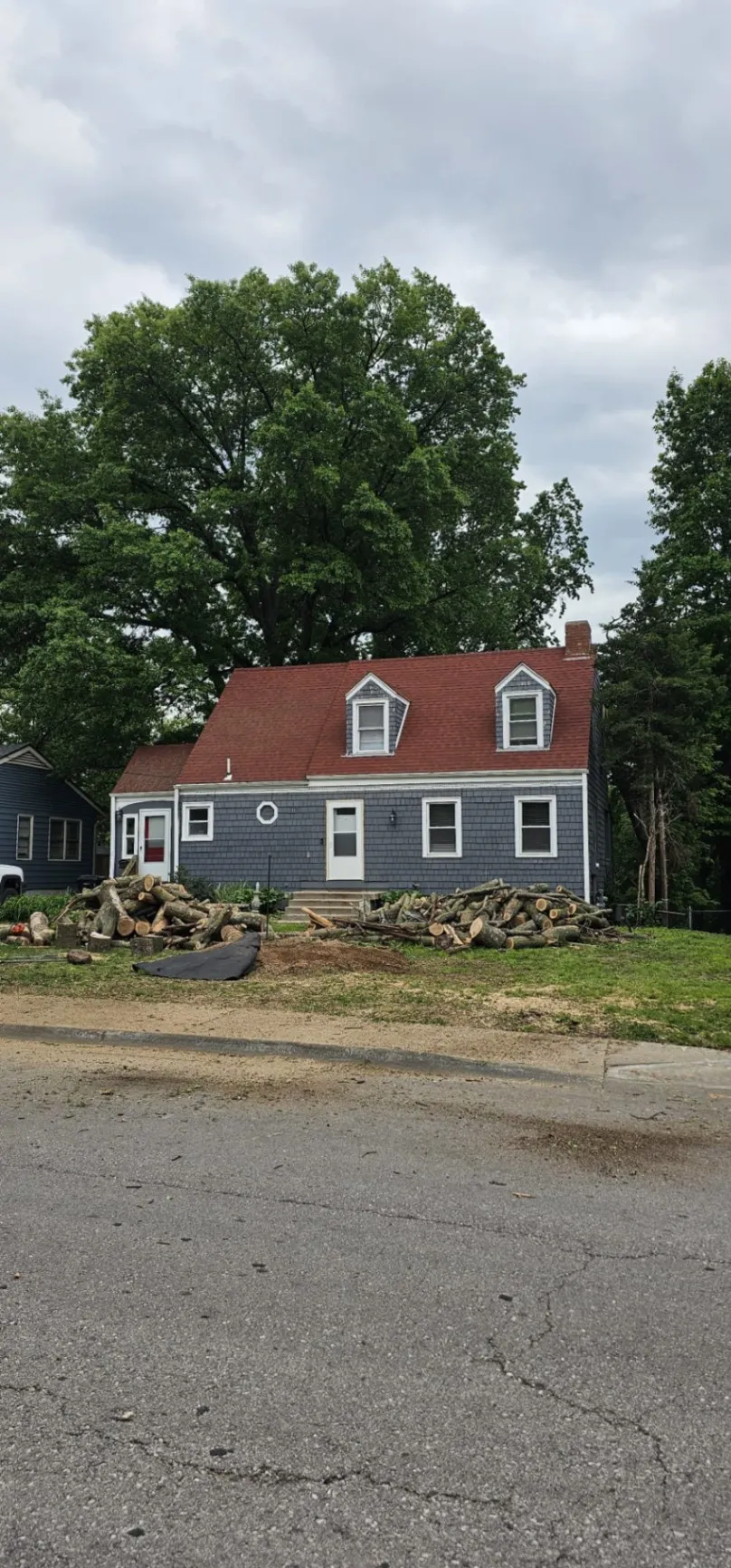 Ramos Tree Care LLC - Lee's Summit, MO