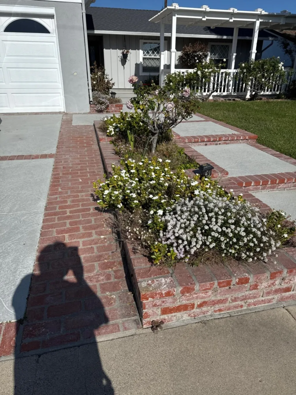 Gallery image 22