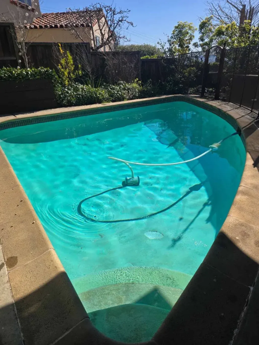 Rogelio's Pool & Landscaping
