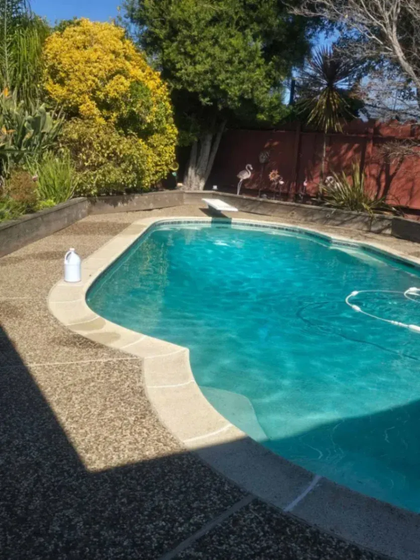 Rogelio's Pool & Landscaping