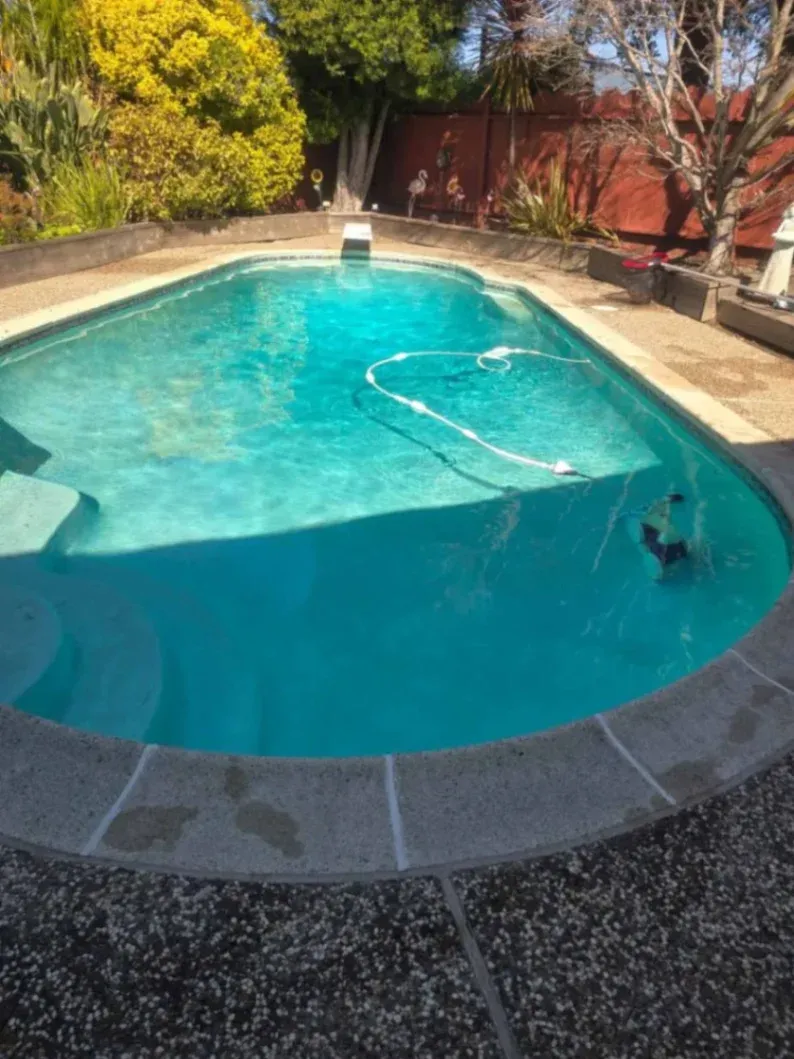Rogelio's Pool & Landscaping