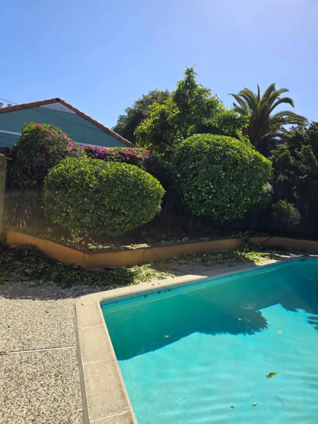 Rogelio's Pool & Landscaping