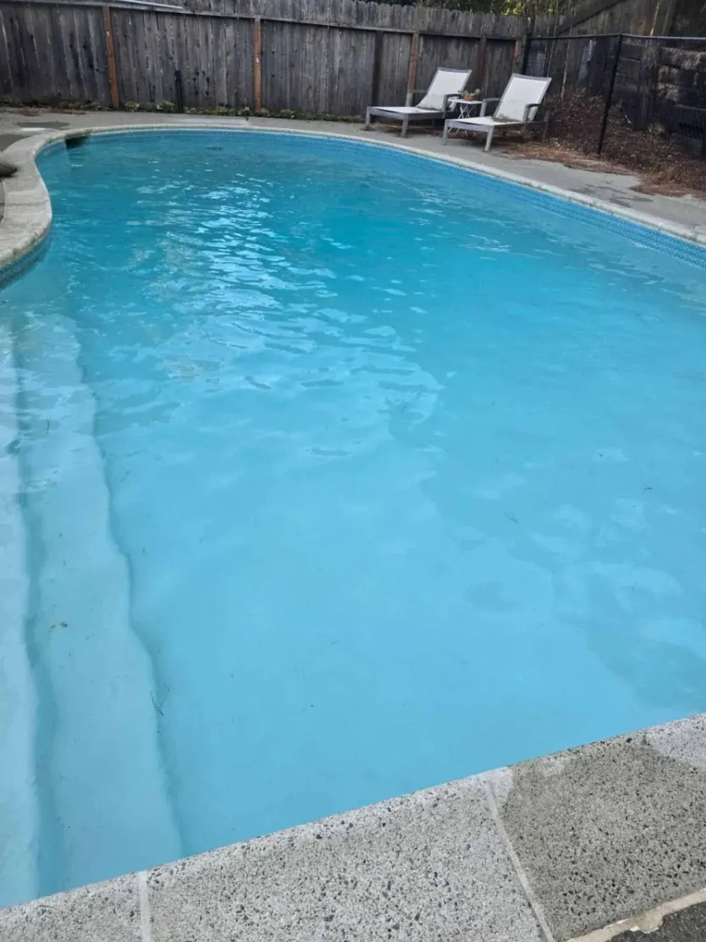 Rogelio's Pool & Landscaping