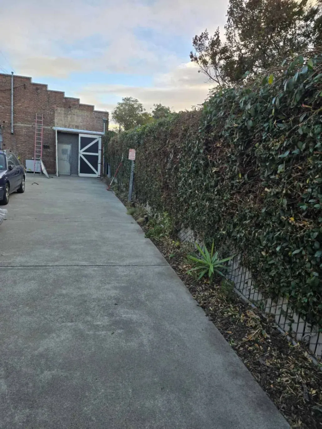 Rogelio's Pool & Landscaping