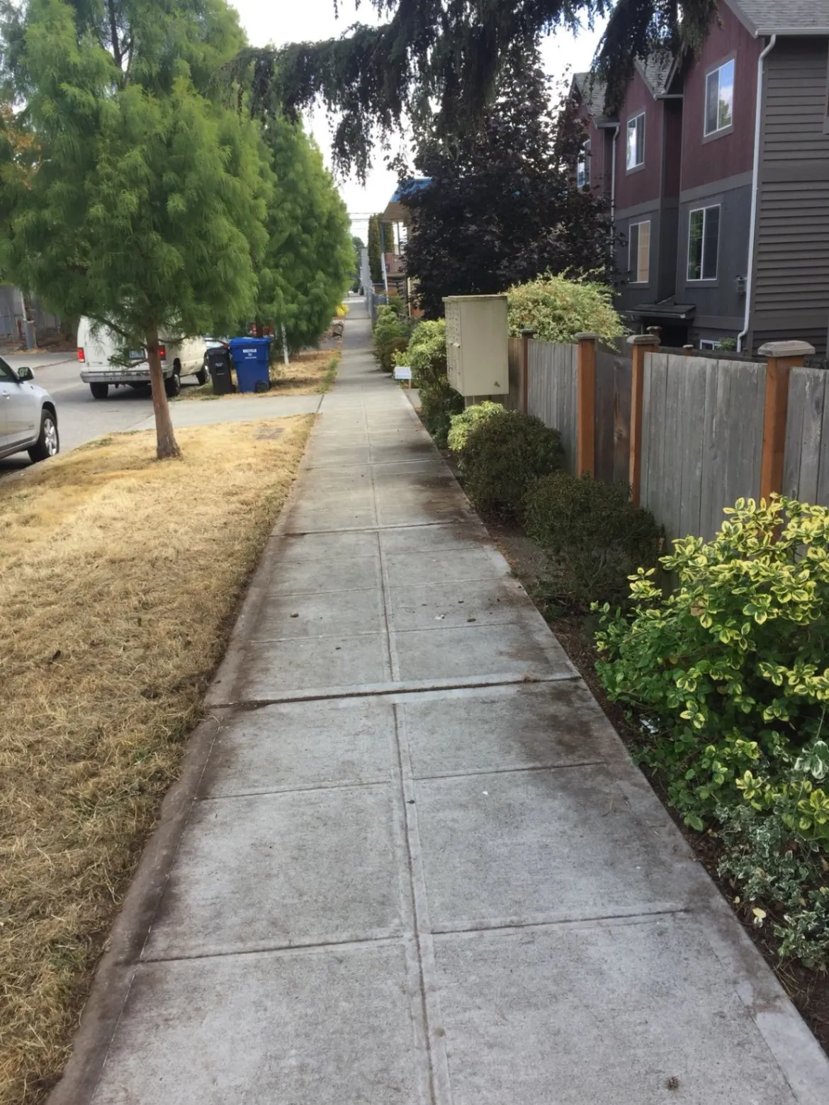 Envirogreen Landscape Services