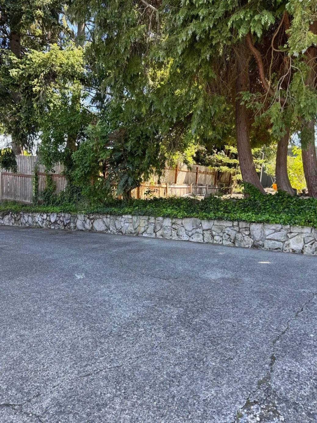 Contat Image