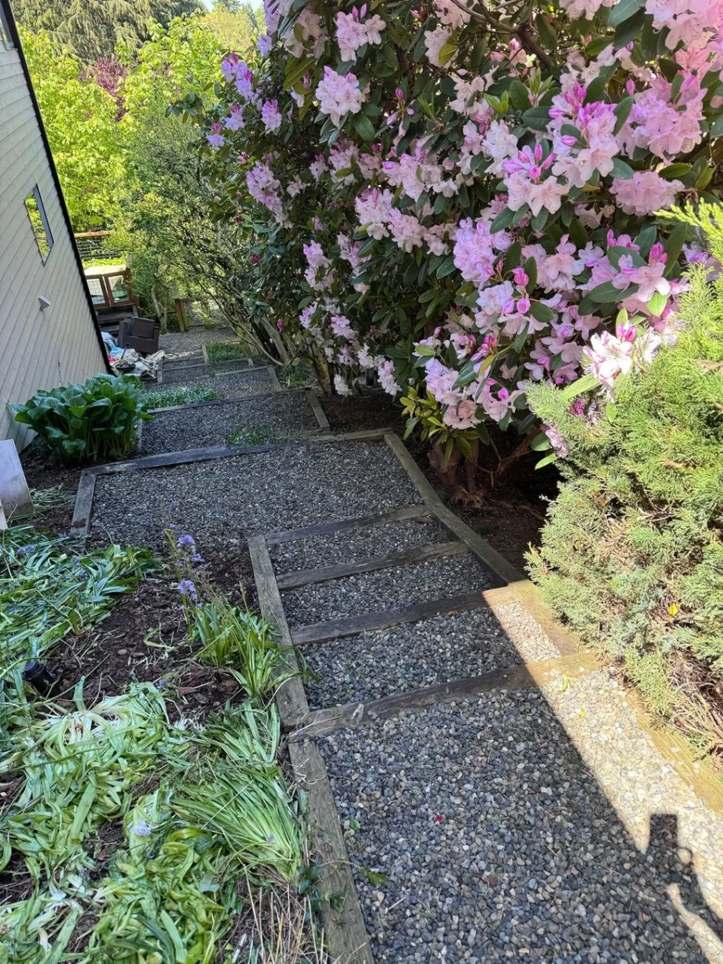 Transform your landscape with our stump removal service.