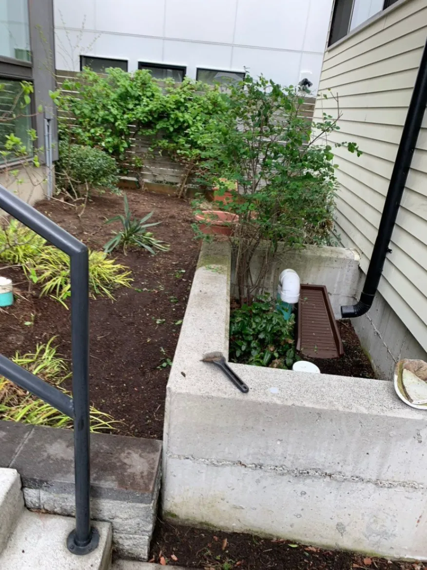 Gallery image 12