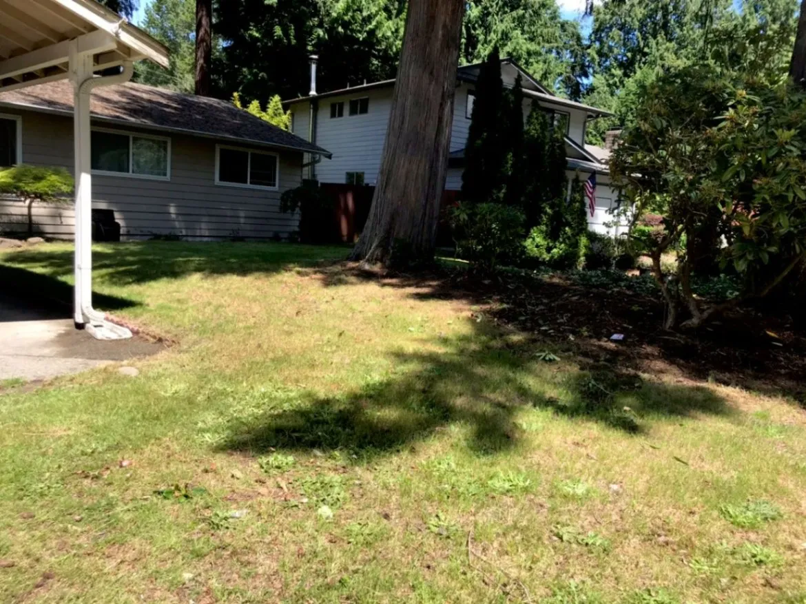 Gallery image 14