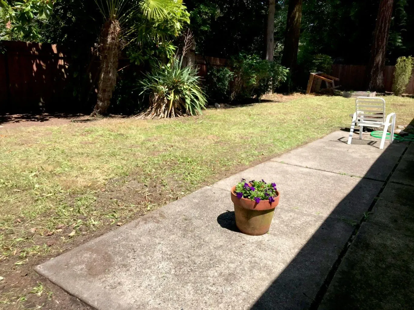 Gallery image 17