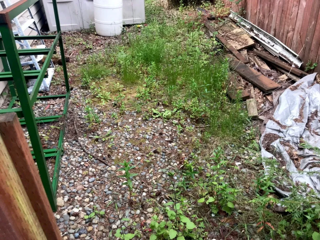 Gallery image 21