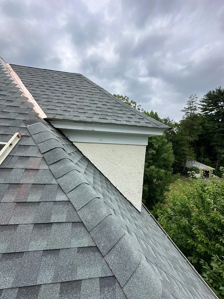 Two decades of trusted roofing expertise for you - Carta 1