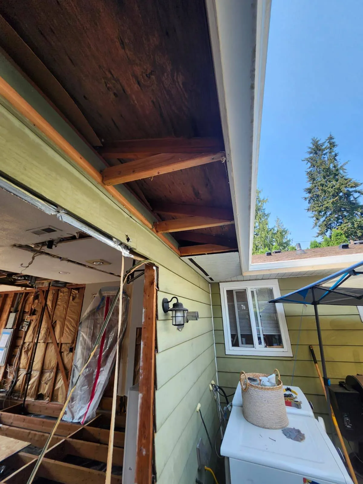 Gallery image 7