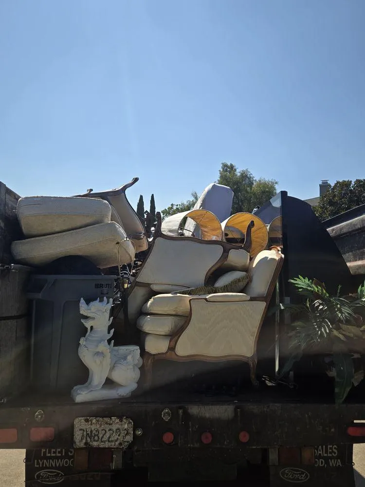 Storm Debris Cleanup