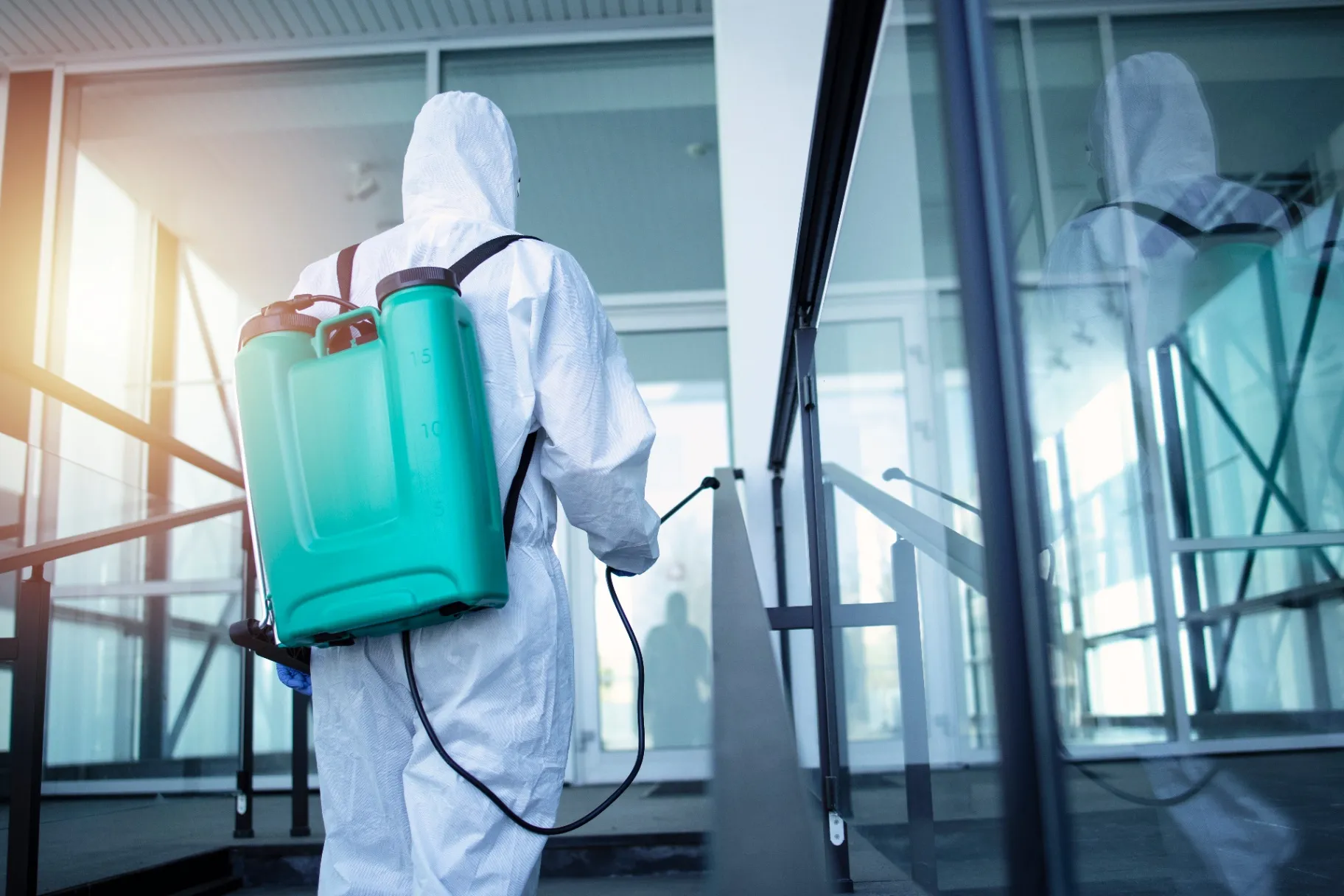 Commercial Pest Control