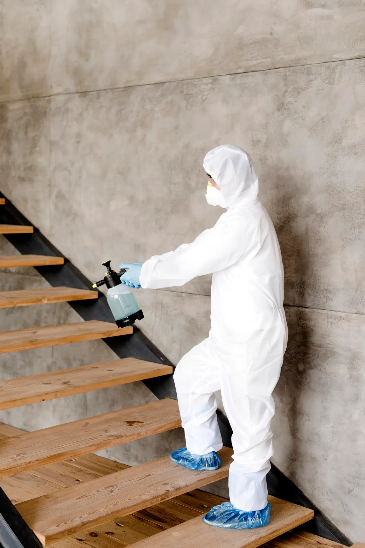 Termite Elimination Services
