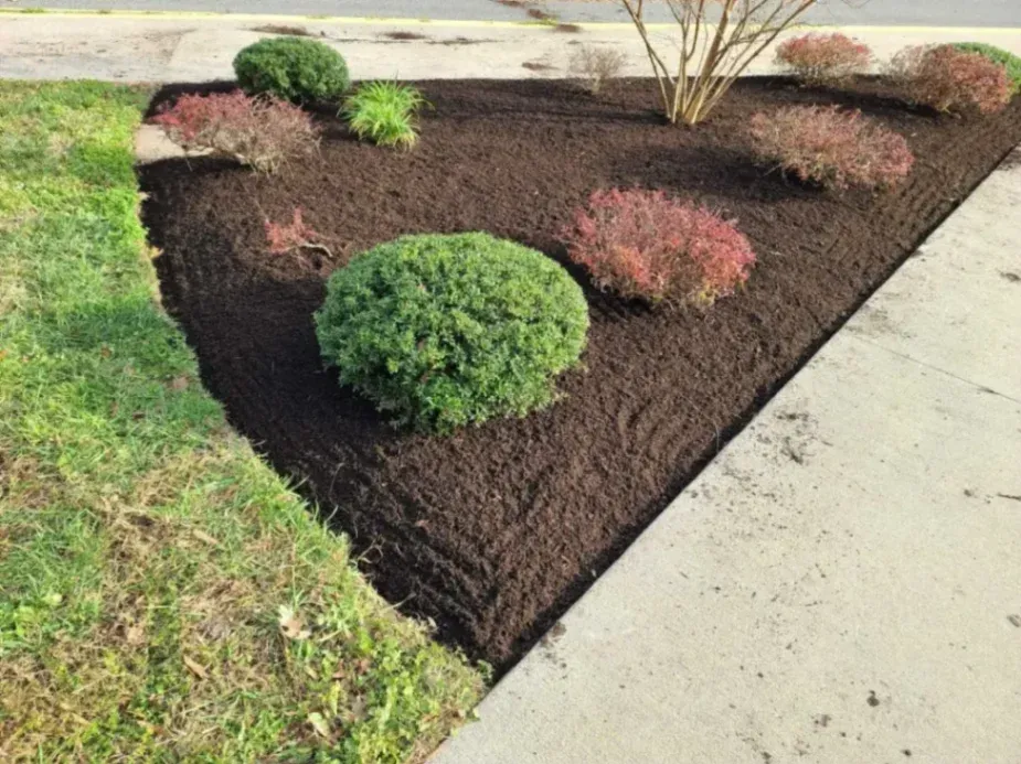 Landscaping Valora Inc