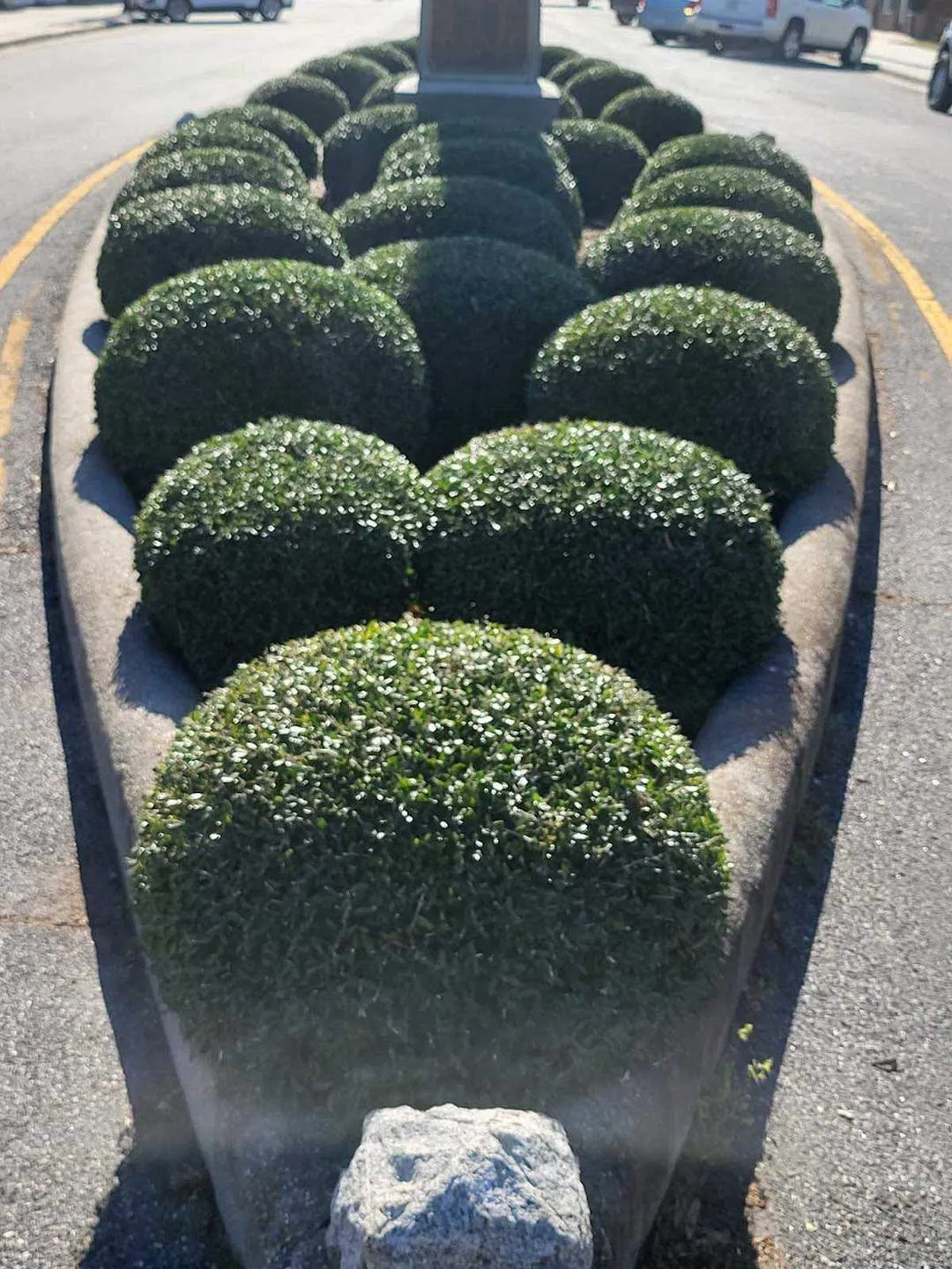 Landscaping Valora Inc