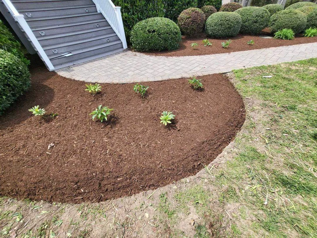 Pruning & Mulching