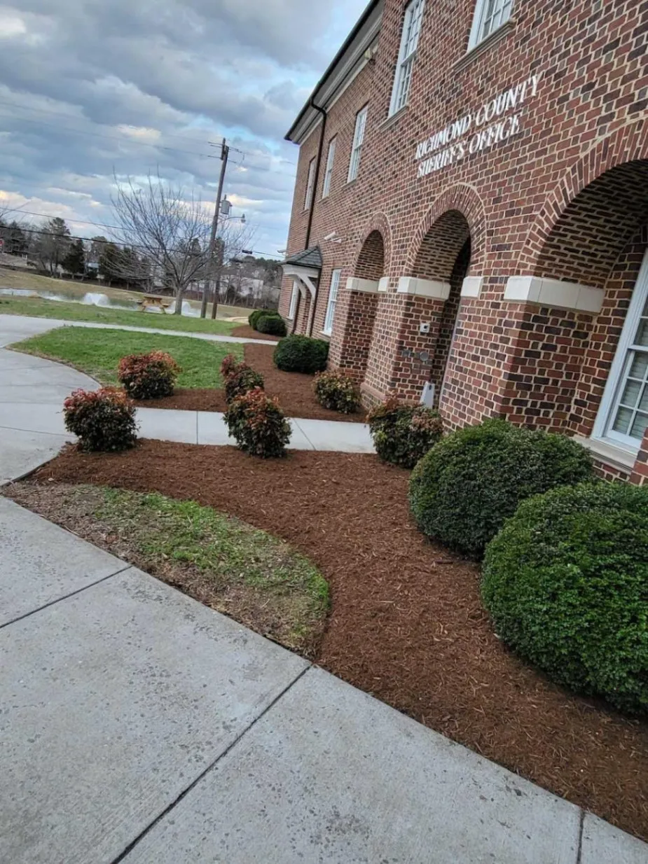 Gallery image 16