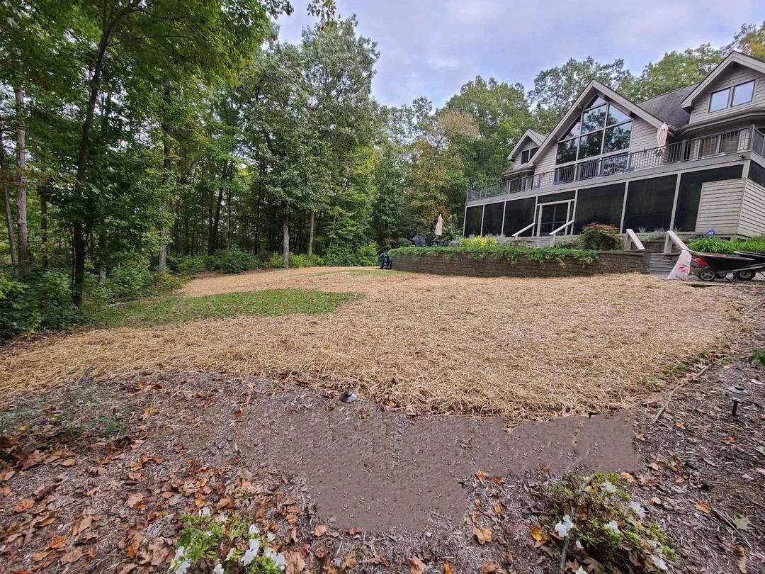 Landscaping Renovations