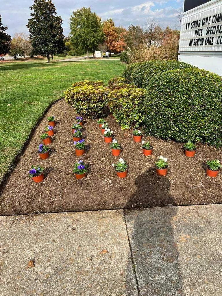 Landscaping Design