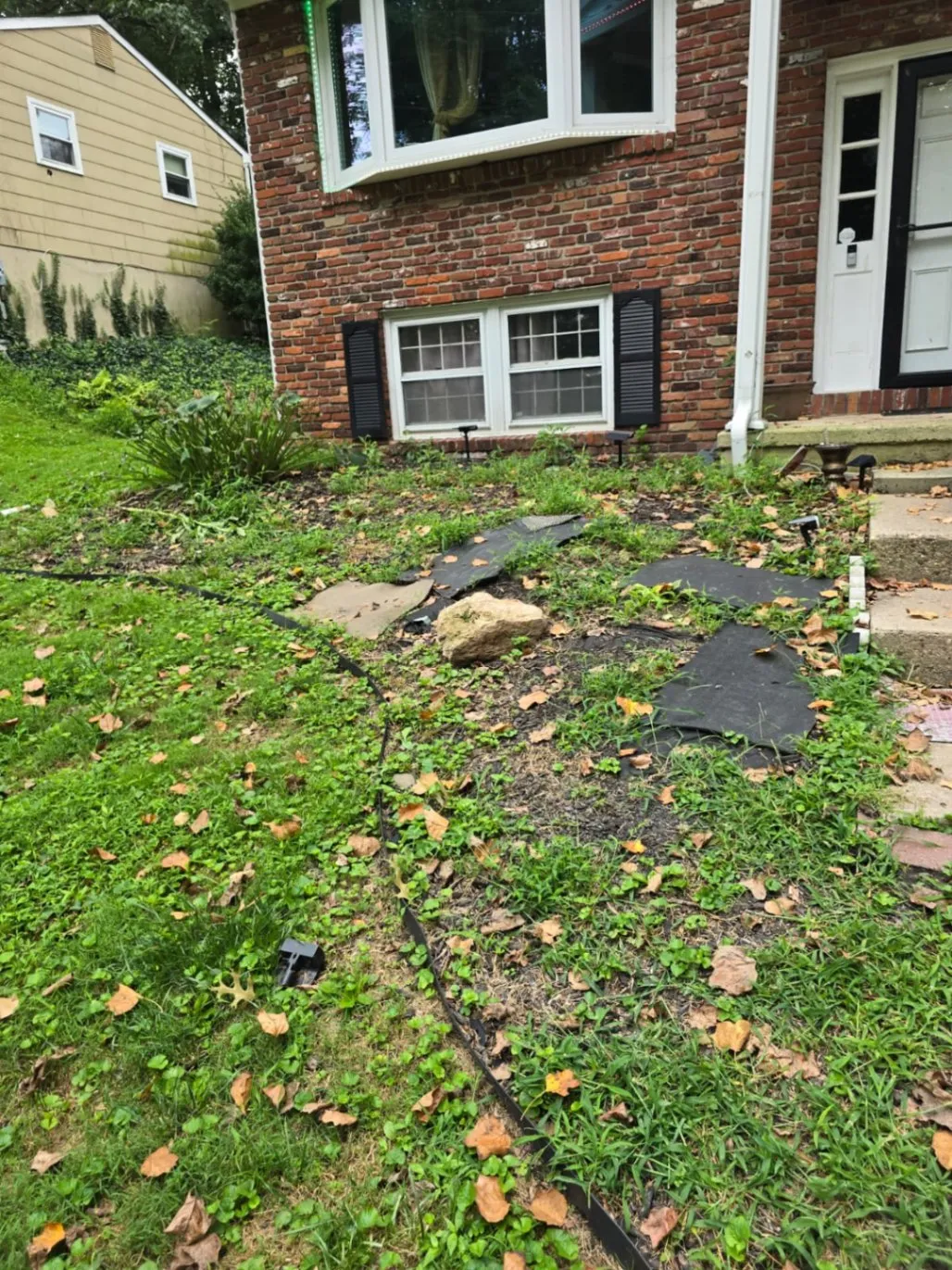 Gallery image 13