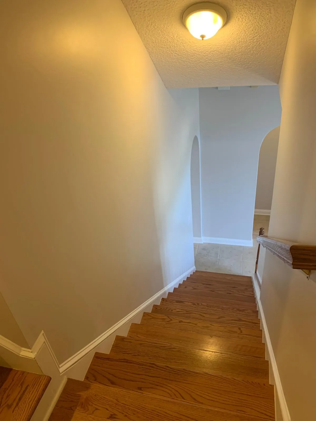 Gallery image 38