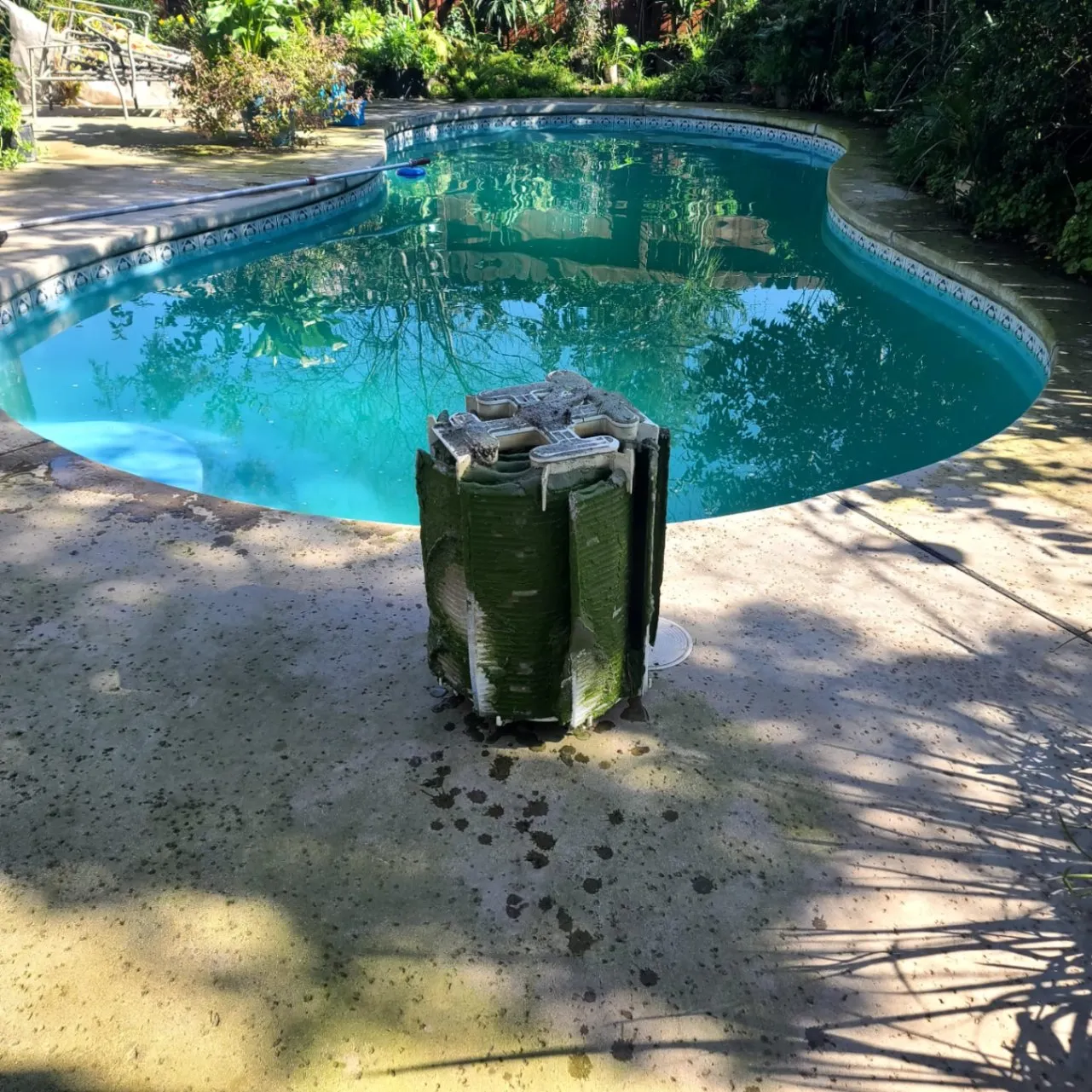 Gallery image 42