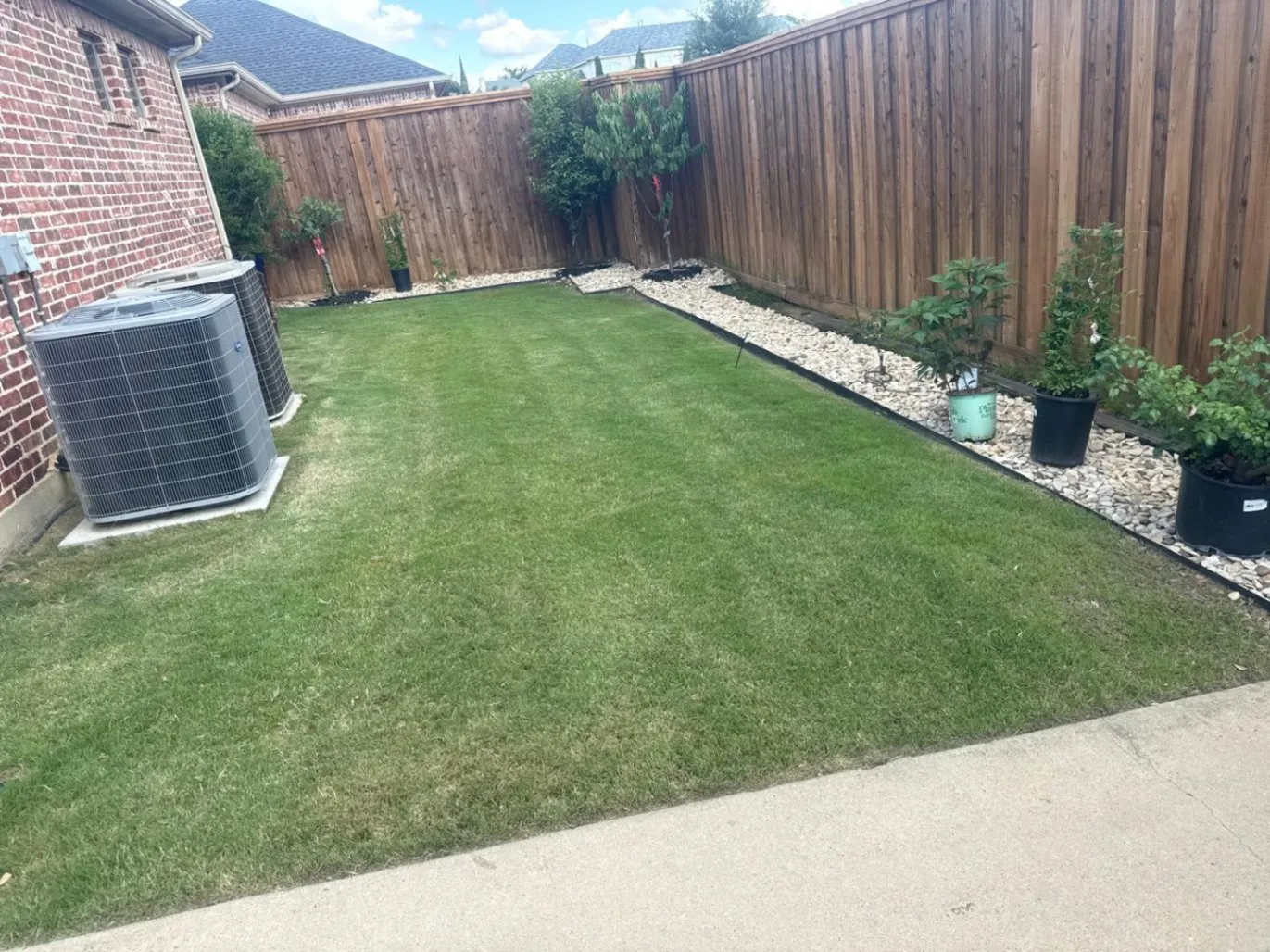 Yard Cleanup Services