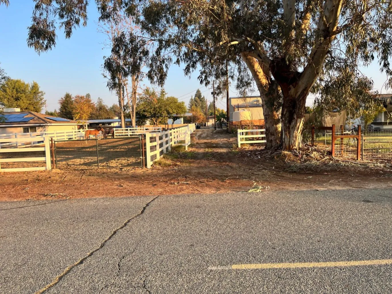 Gallery image 56