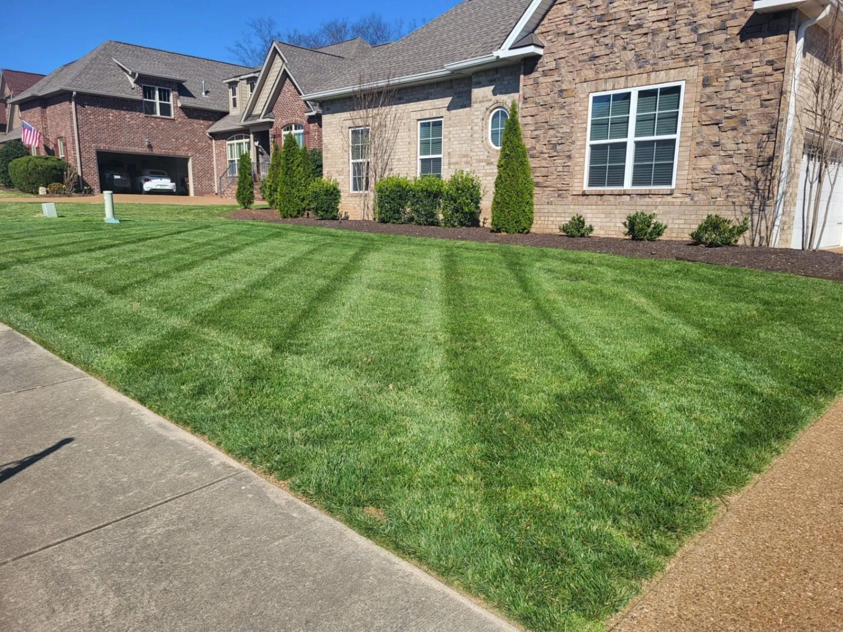 Grass Cutting
