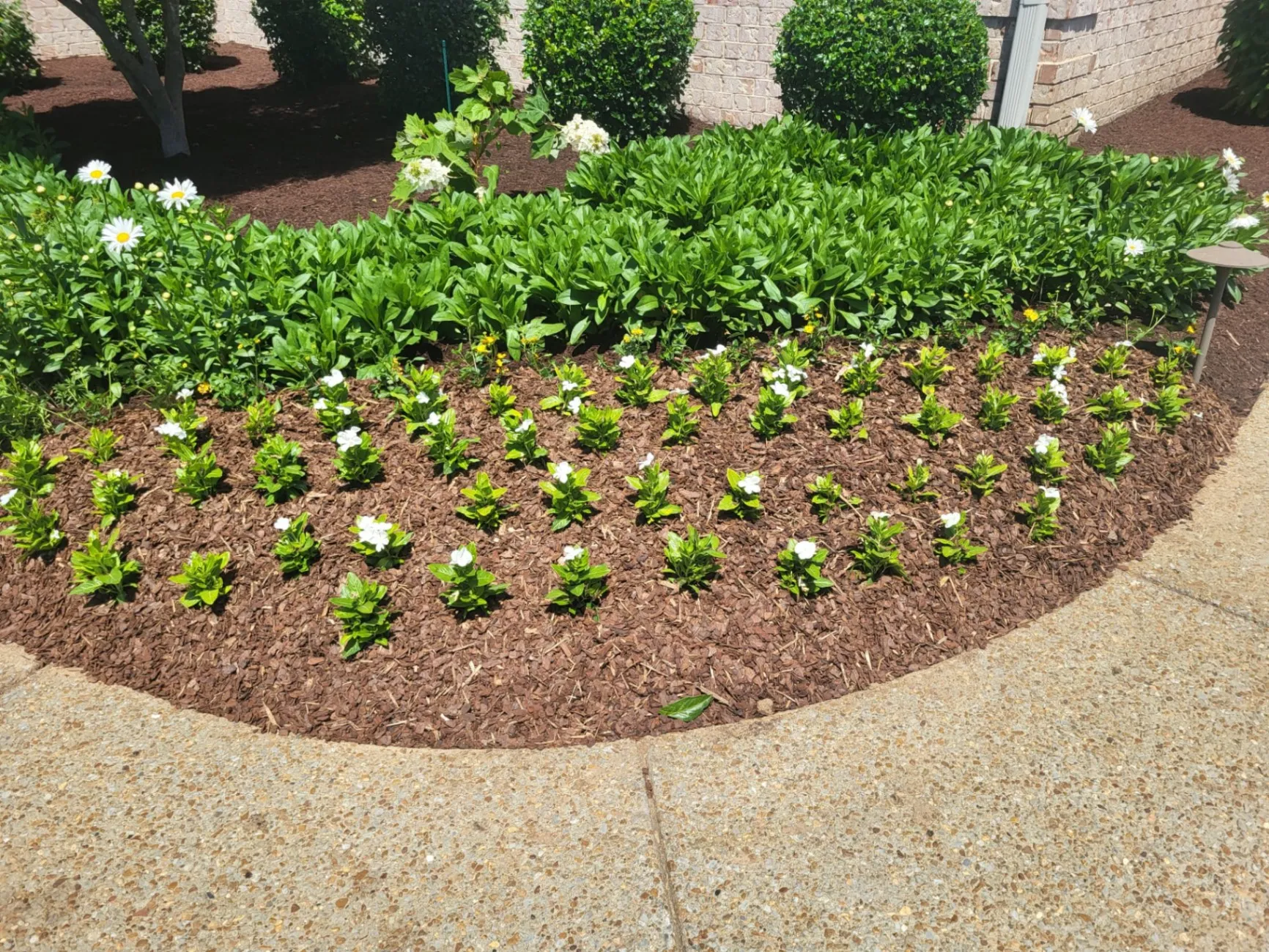 Landscaping services