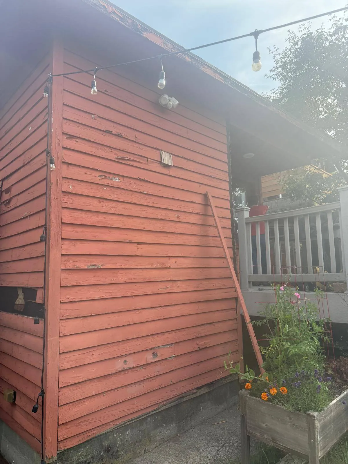 Gallery image 19