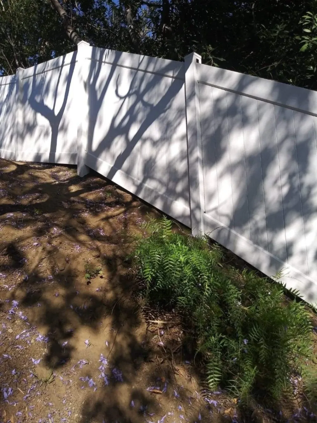 Gallery image 9